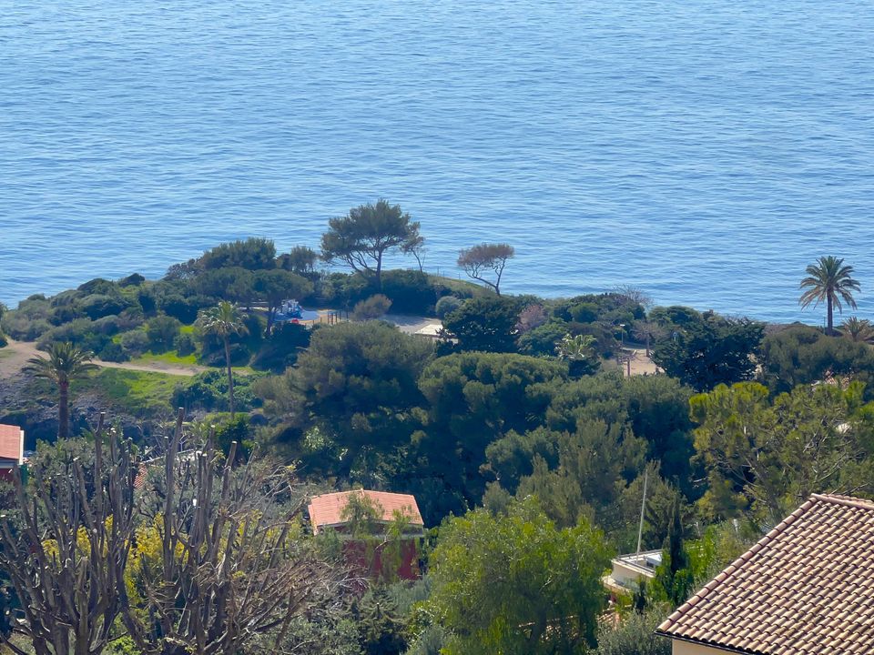 Leilighet i Cap-d'Ail, Alpes-Maritimes - bilde 2