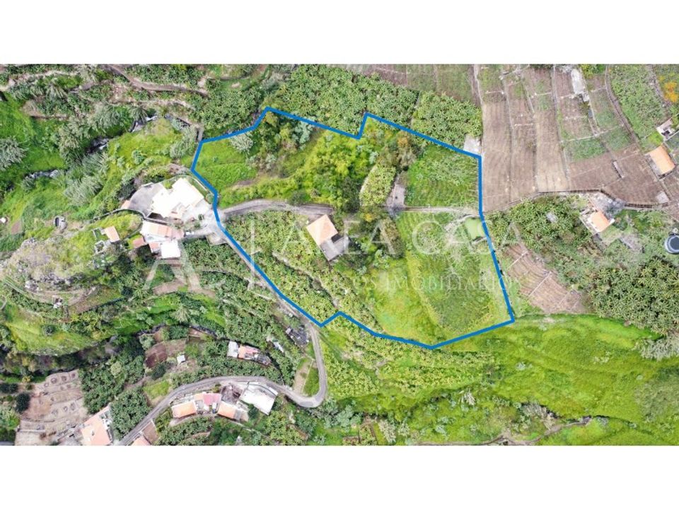 Granja a Camara de Lobos, Madeira - foto 1