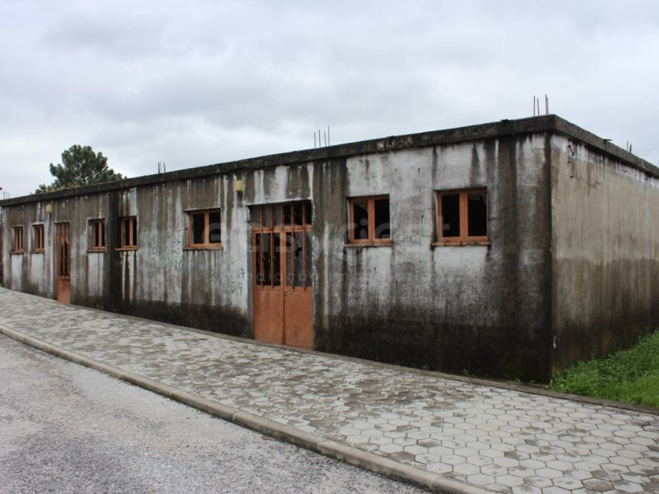 Erhvervsejendom i Mangualde, Viseu - foto 4