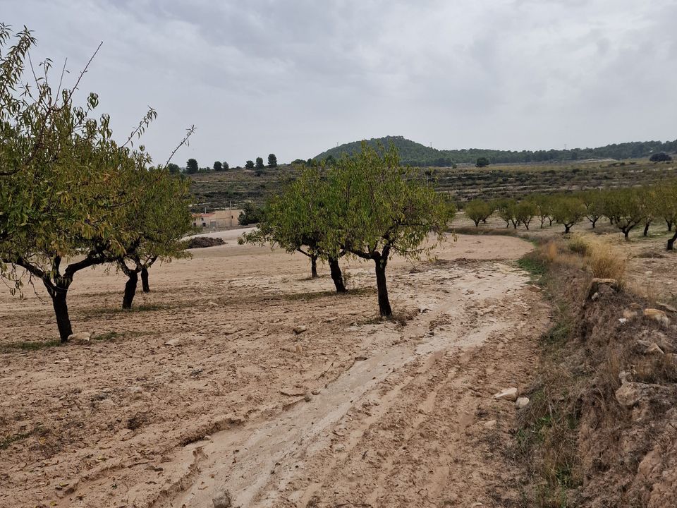 Helårsgrund i Moratalla, Murcia - foto 2
