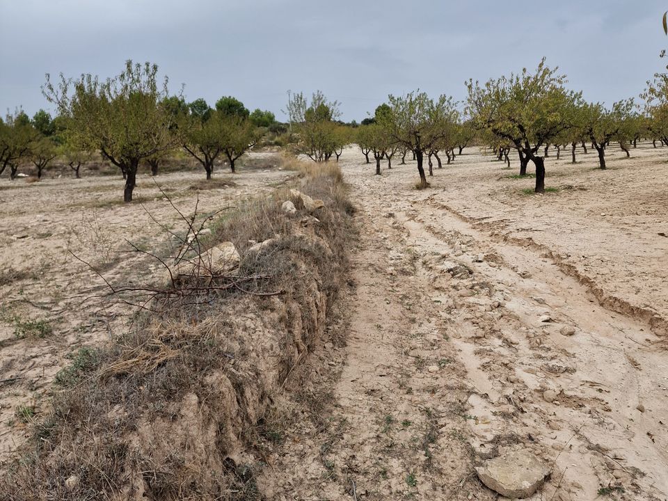 Terra a Moratalla, Murcia - foto 3