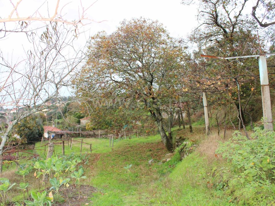 Helårsgrund i Barcelos, Braga - foto 1