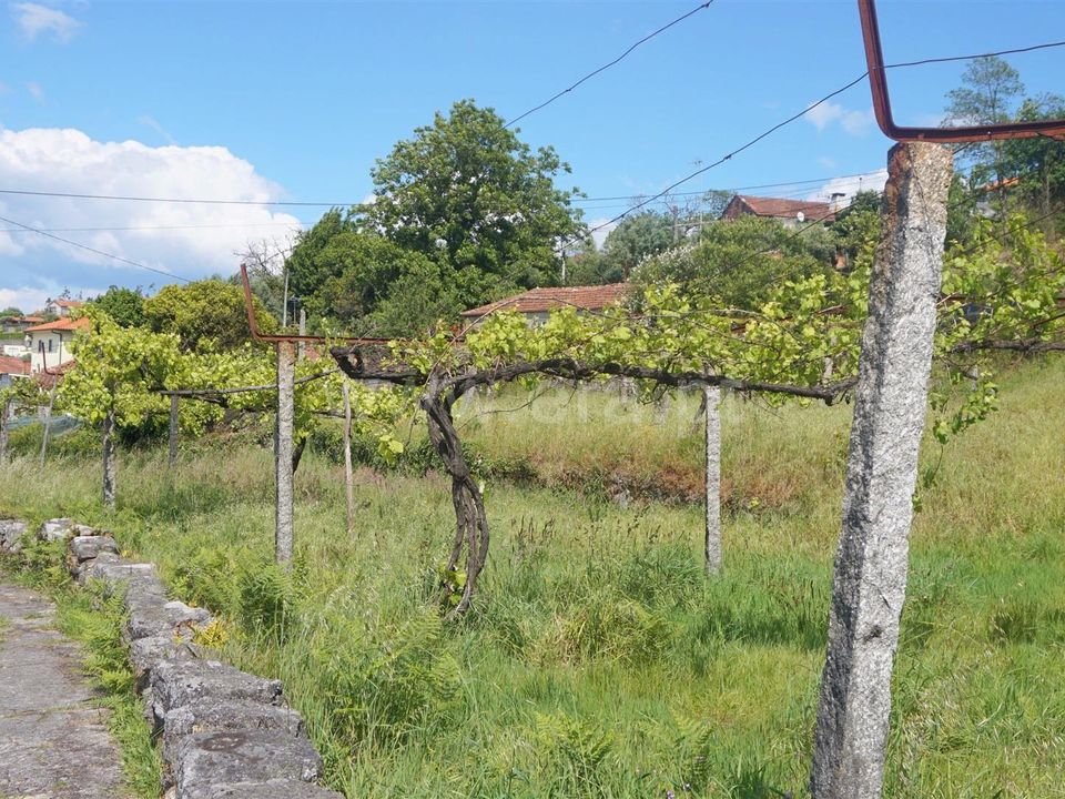 Helårsgrund i Barcelos, Braga - foto 3