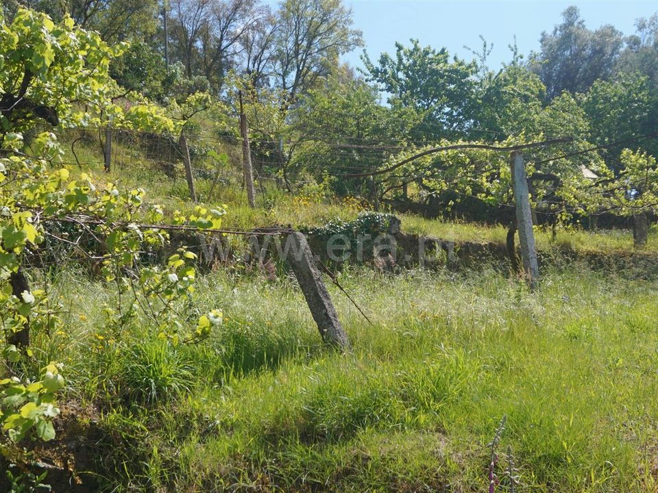 Helårsgrund i Barcelos, Braga - foto 4