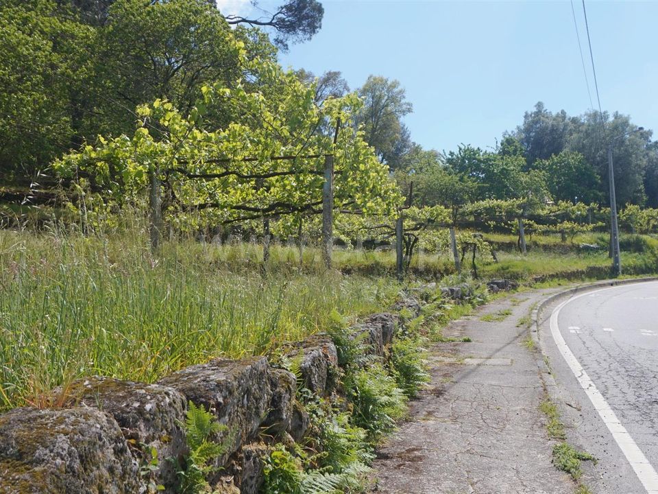 Helårsgrund i Barcelos, Braga - foto 5
