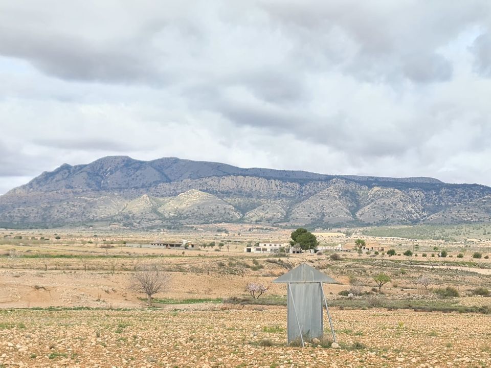 Helårsgrund i Torre Del Rico, Murcia - foto 1