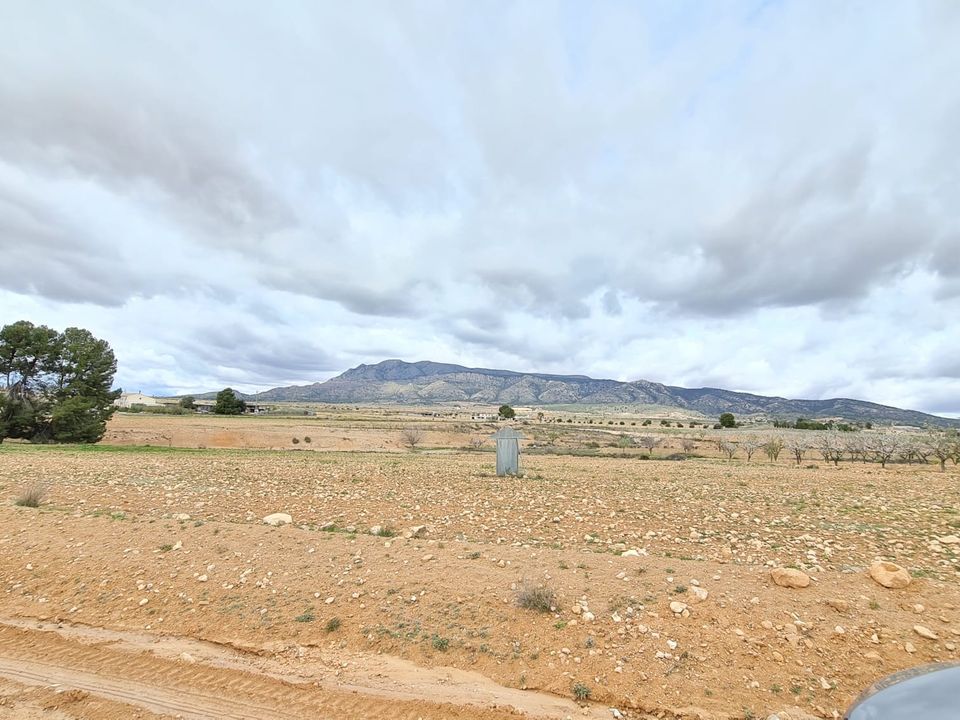 Helårsgrund i Torre Del Rico, Murcia - foto 2