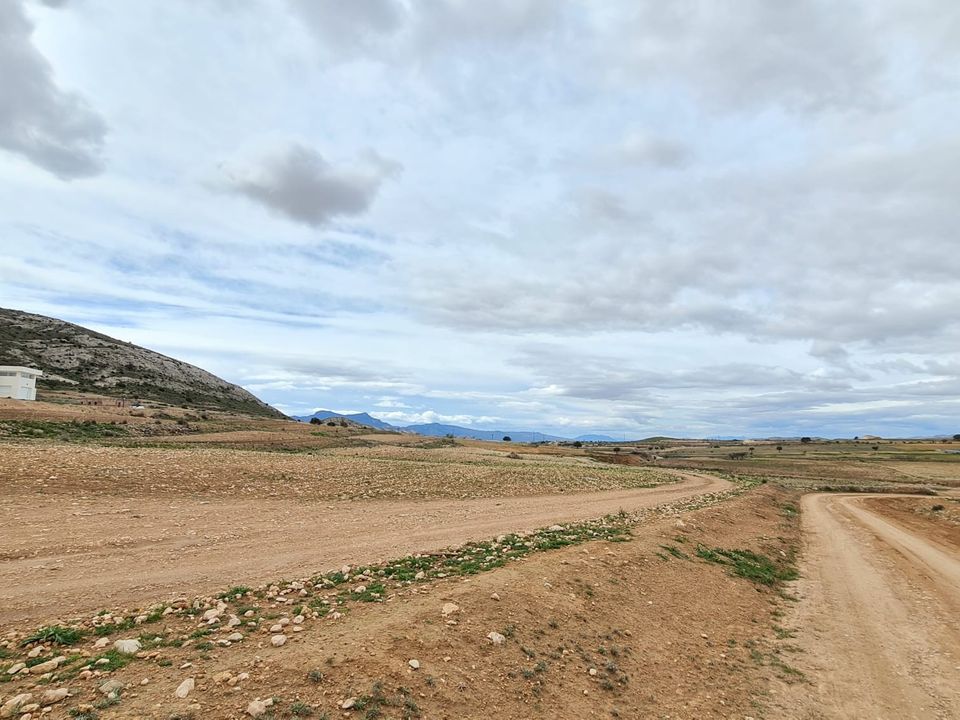 Helårsgrund i Torre Del Rico, Murcia - foto 4