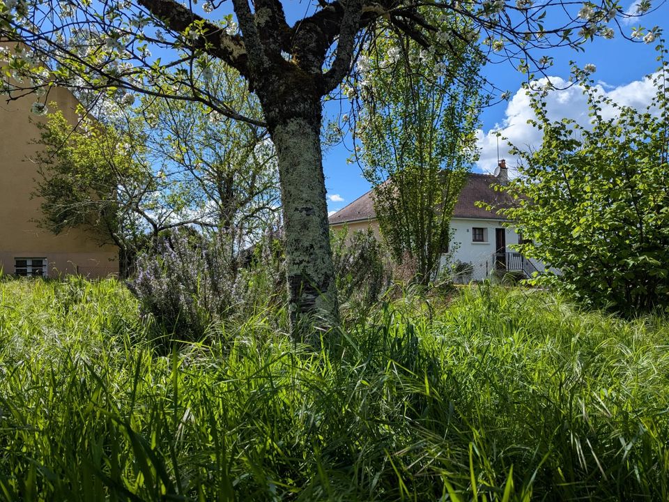Villa i Saint-Benoît-du-Sault, Indre - foto 4
