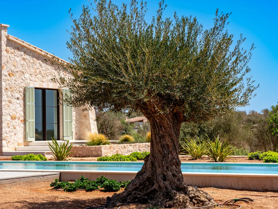 Herregård i Santanyi, Mallorca - bilde 3