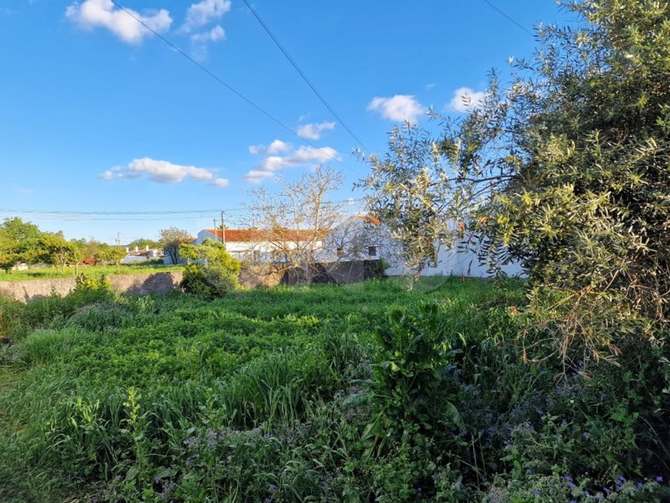 Terreno en Alvito, Beja - foto 4