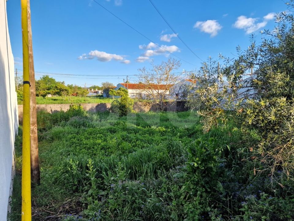 Terreno en Alvito, Beja - foto 5