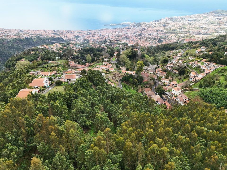 Helårsgrund i Funchal, Madeira - foto 3