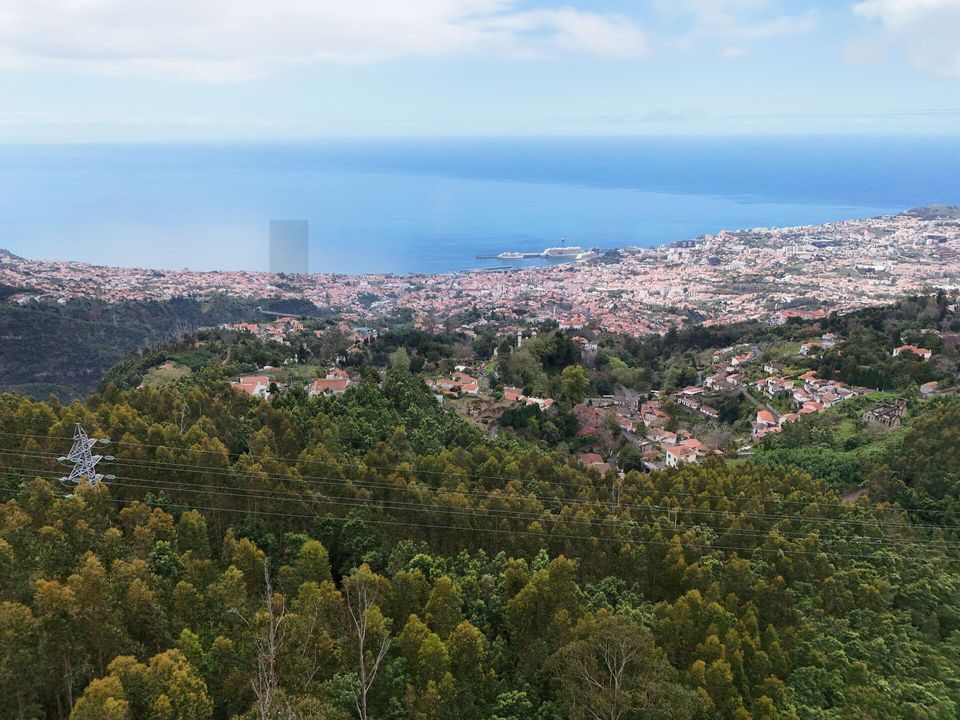 Helårsgrund i Funchal, Madeira - foto 5