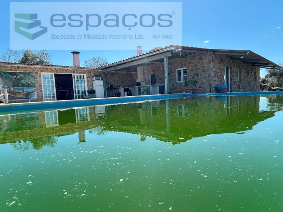 Farm i Castelo Branco, Castelo Branco - foto 4