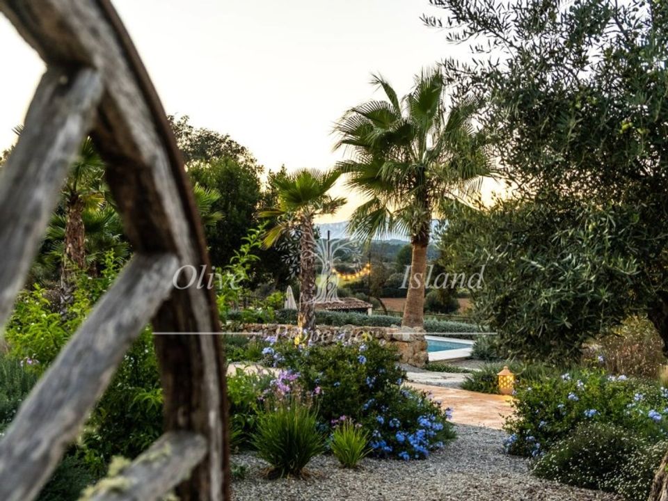Landejendom i Sencelles, Mallorca - foto 3