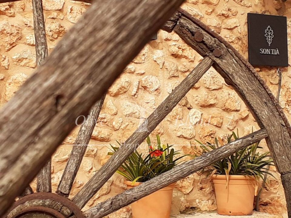 Landejendom i Sencelles, Mallorca - foto 4
