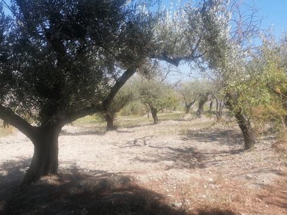 Villa i Alessandria della Rocca, Agrigento - foto 5