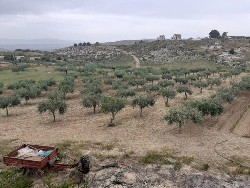 Terra a Siculiana, Agrigento - foto 3