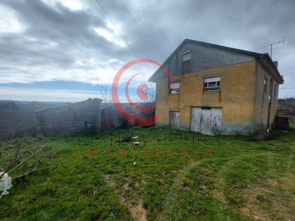 Farm Chavesssa, Vila Real - kuva 3