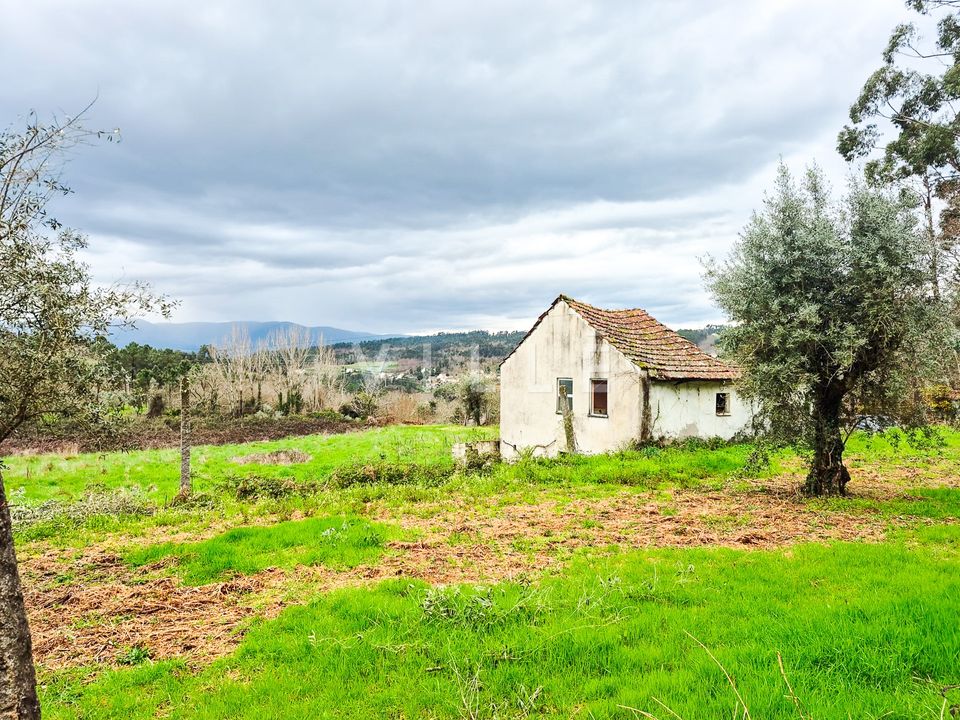 Villa i Vouzela, Viseu - foto 4
