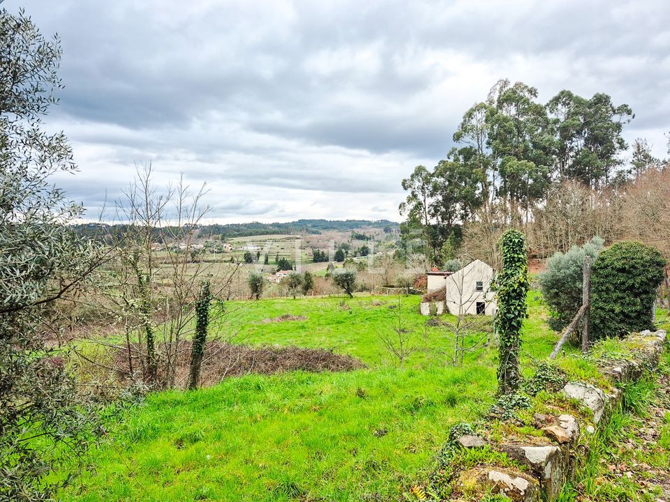 Villa i Vouzela, Viseu - foto 5