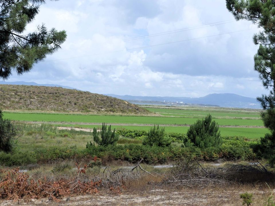 Grond in Comporta, Setubal - foto 4