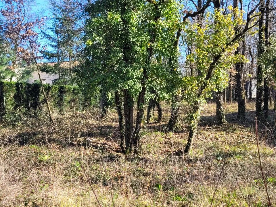 Helårsgrund i Terre-de-Bancalie, Tarn - foto 1