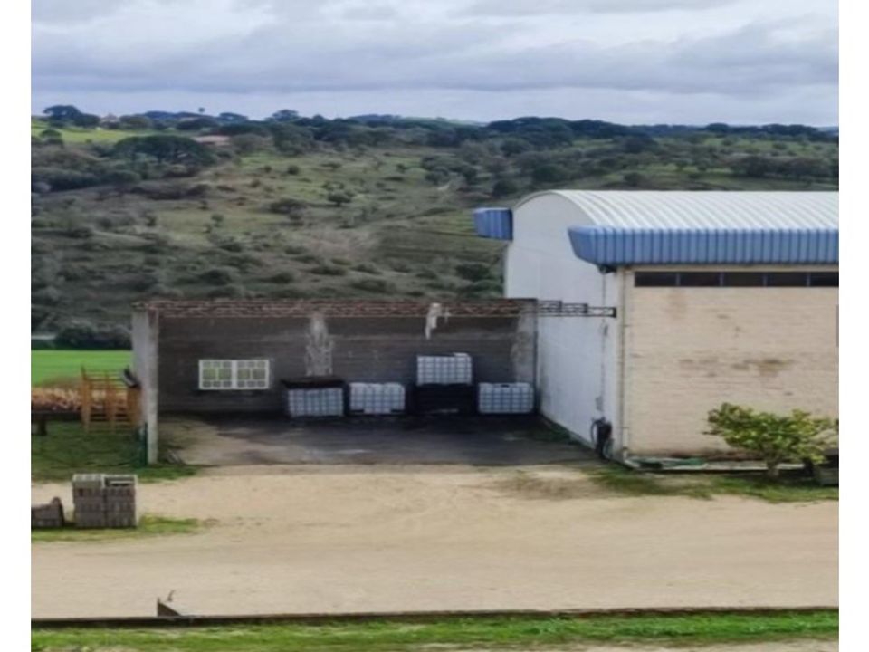 Erhvervsejendom i Torres Novas, Santarem - foto 1