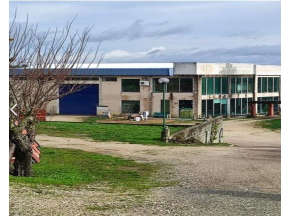 Erhvervsejendom i Torres Novas, Santarem - foto 4