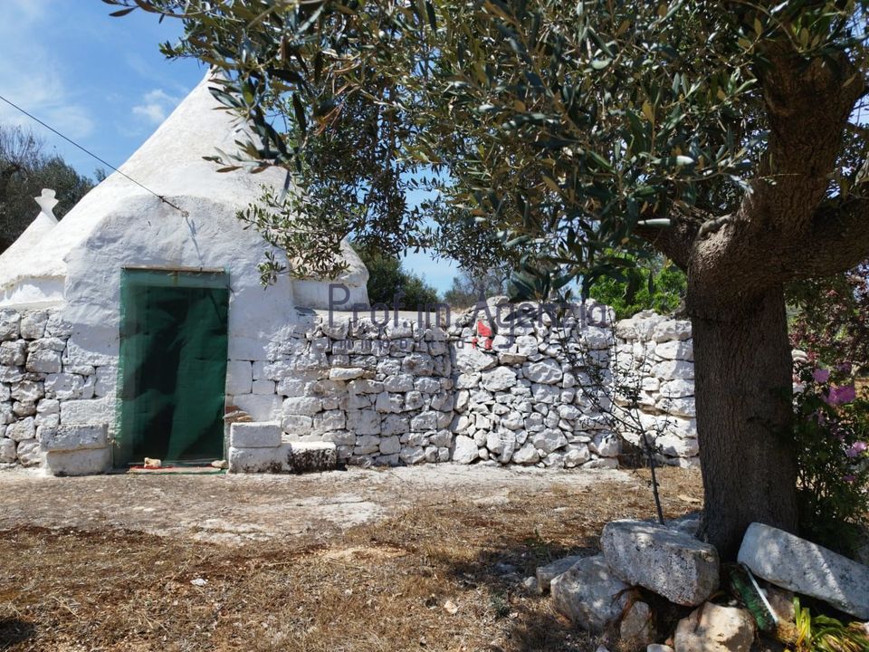 Landejendom i San Vito dei Normanni, Brindisi - foto 2