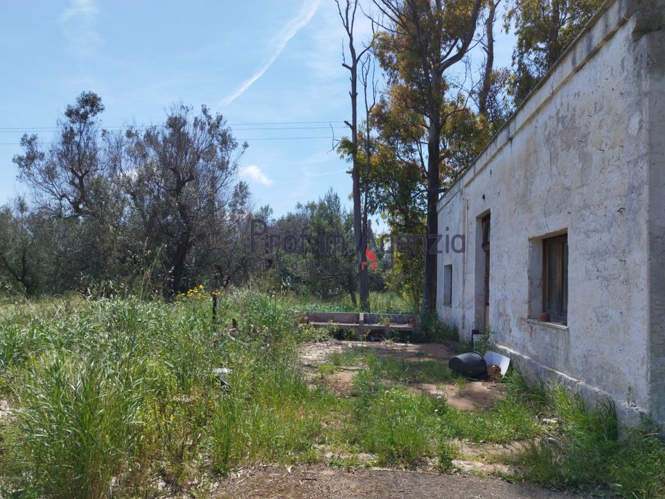 Farm hus i San Vito dei Normanni, Brindisi - foto 3