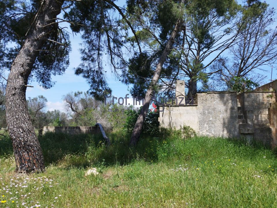 Farm hus i San Vito dei Normanni, Brindisi - foto 4