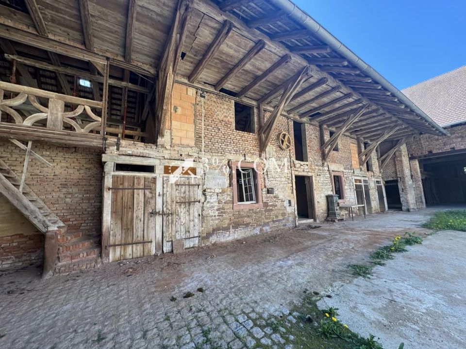 Villa i Saessolsheim, Bas-Rhin - foto 4
