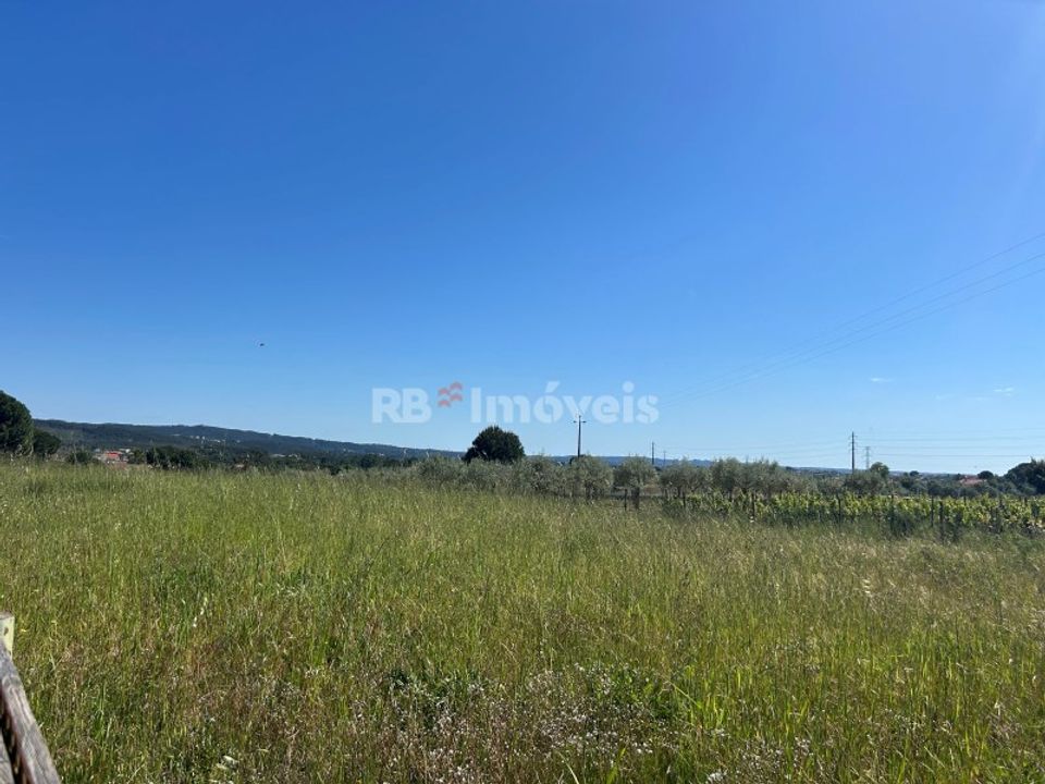 Helårsgrund i Casais e Alviobeira, Santarem - foto 3