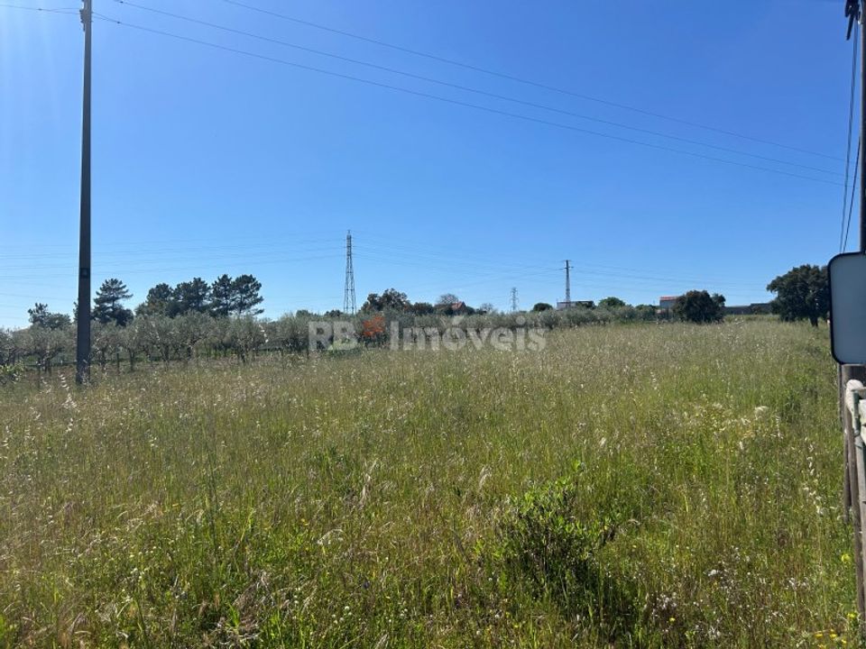 Helårsgrund i Casais e Alviobeira, Santarem - foto 4