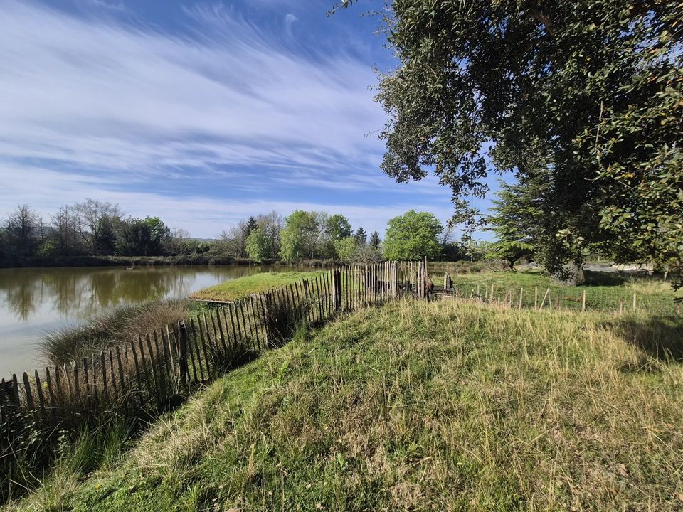 Villa i Sérignac-sur-Garonne, Lot-et-Garonne - foto 3