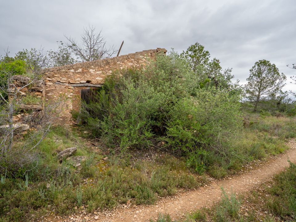 Finca i Tortosa, Tarragona - foto 1