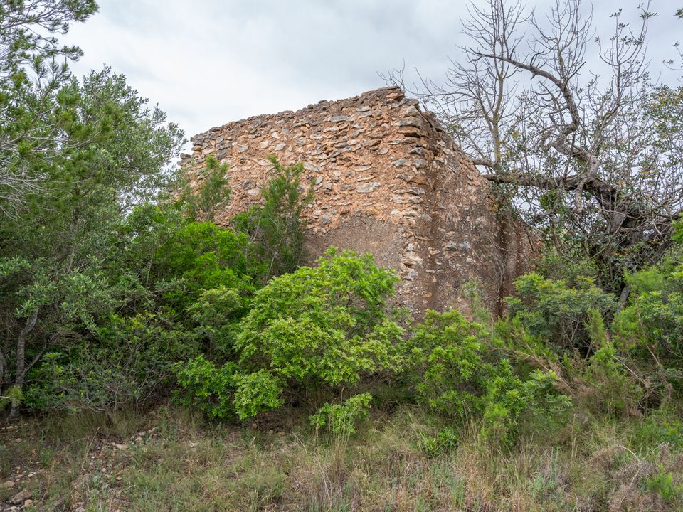 Finca i Tortosa, Tarragona - foto 2