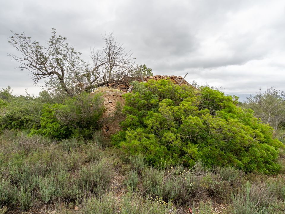 Finca i Tortosa, Tarragona - foto 3