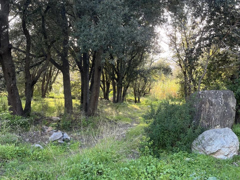 Tomt i Barbaggio, Haute-Corse - bilde 1