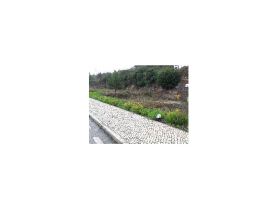 Terra em Minde, Santarem - foto 4