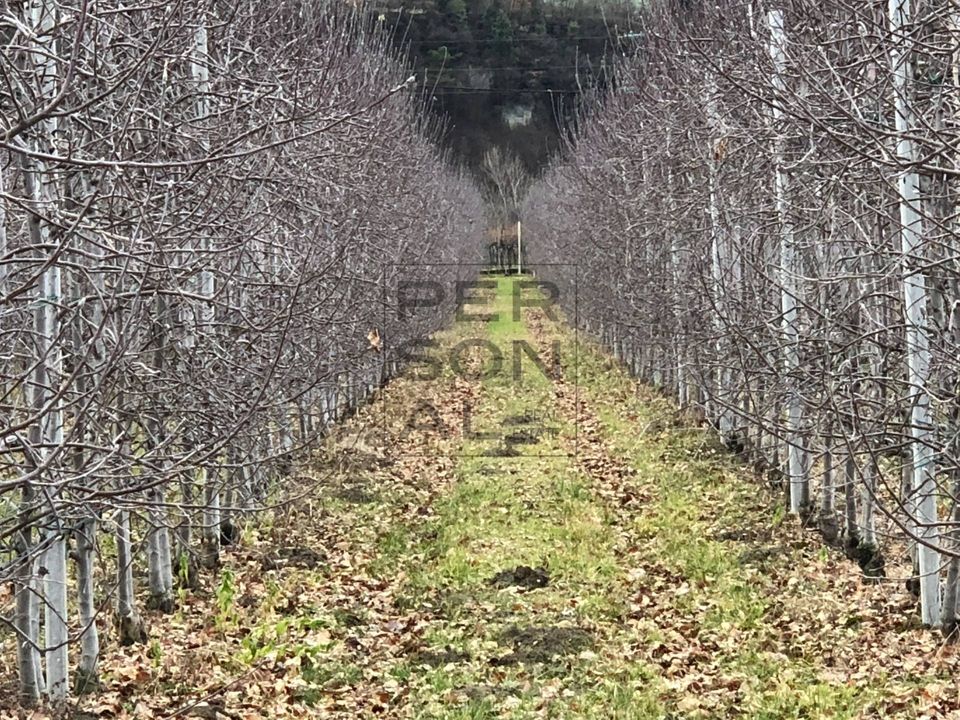 Helårsgrund i Dro, Trento - foto 2