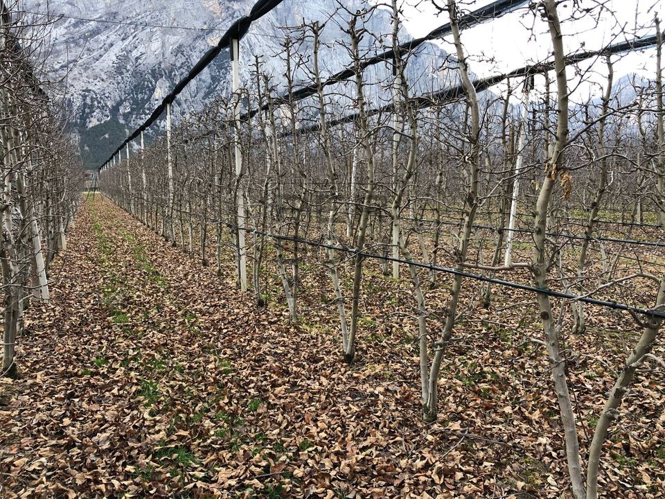 Helårsgrund i Dro, Trento - foto 5