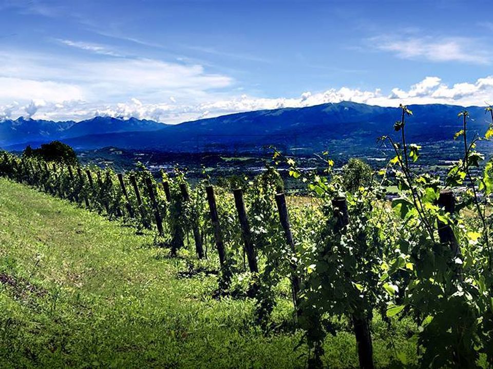 Tomt i Lavis, Trento - bilde 1