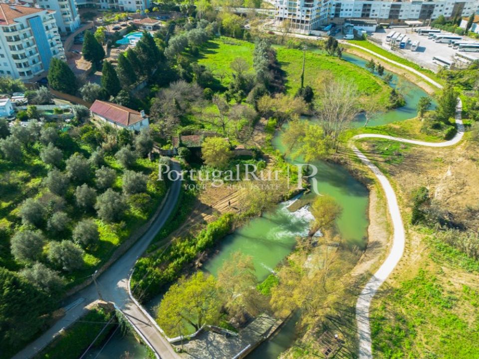 Farm i Torres Novas, Santarem - foto 1