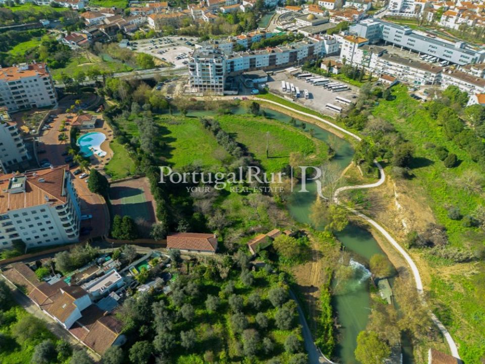 Farm i Torres Novas, Santarem - foto 3