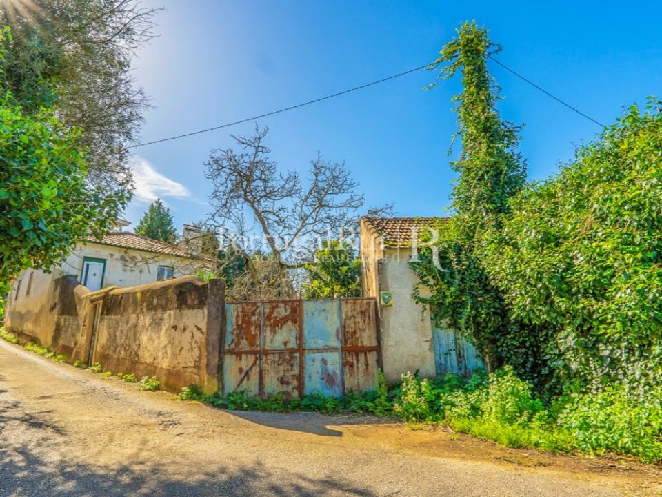 Farm i Torres Novas, Santarem - foto 5