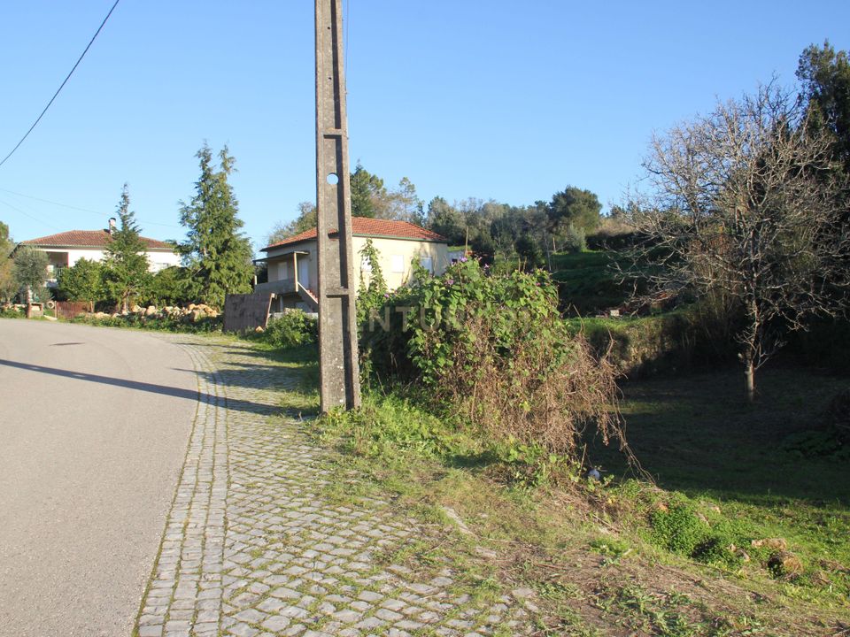 Tomt i Condeixa-a-Nova, Coimbra - bilde 1