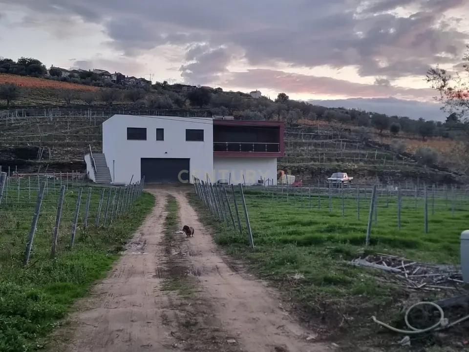 Villa i Tabuaco, Viseu - foto 4